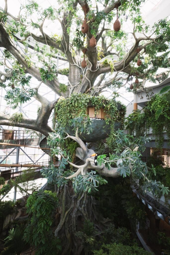 the magical trees in the green planet