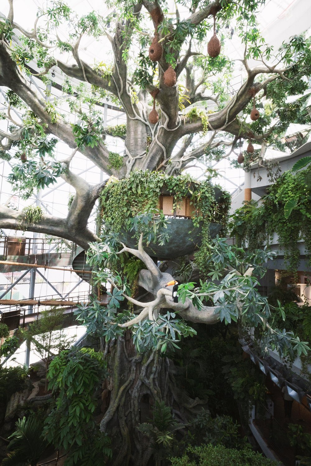the magical trees in the green planet